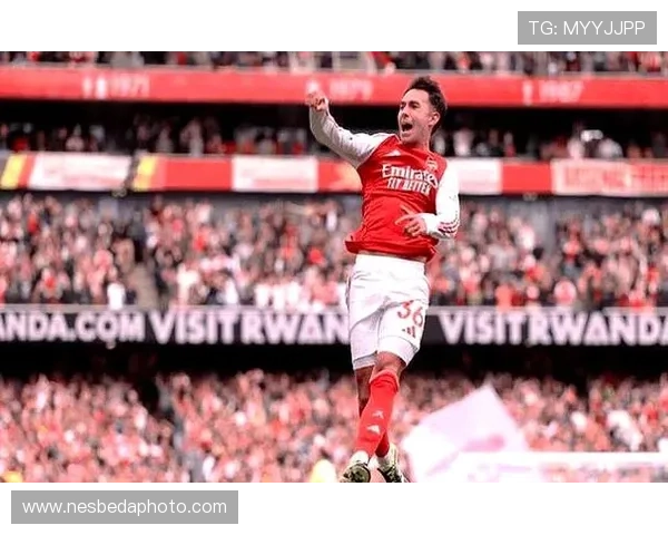 电讯报评英超历史十大球员 亨利居首